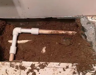 漳平测漏水哪家好