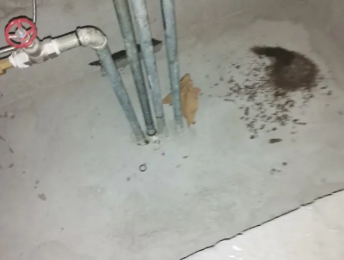 漳平卫生间测漏水价格明细