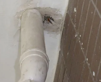 漳平漏水检测哪家好